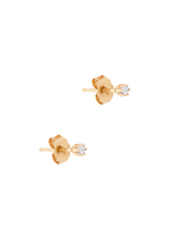 Load image into Gallery viewer, 45b8f2f9-ed77-4808-8de1-f7b86fe40cad:2:pack:women

