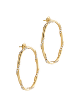 Load image into Gallery viewer, b2c7373b-2acc-41b7-b1c5-9fd88e6a0a16:2:pack:women
